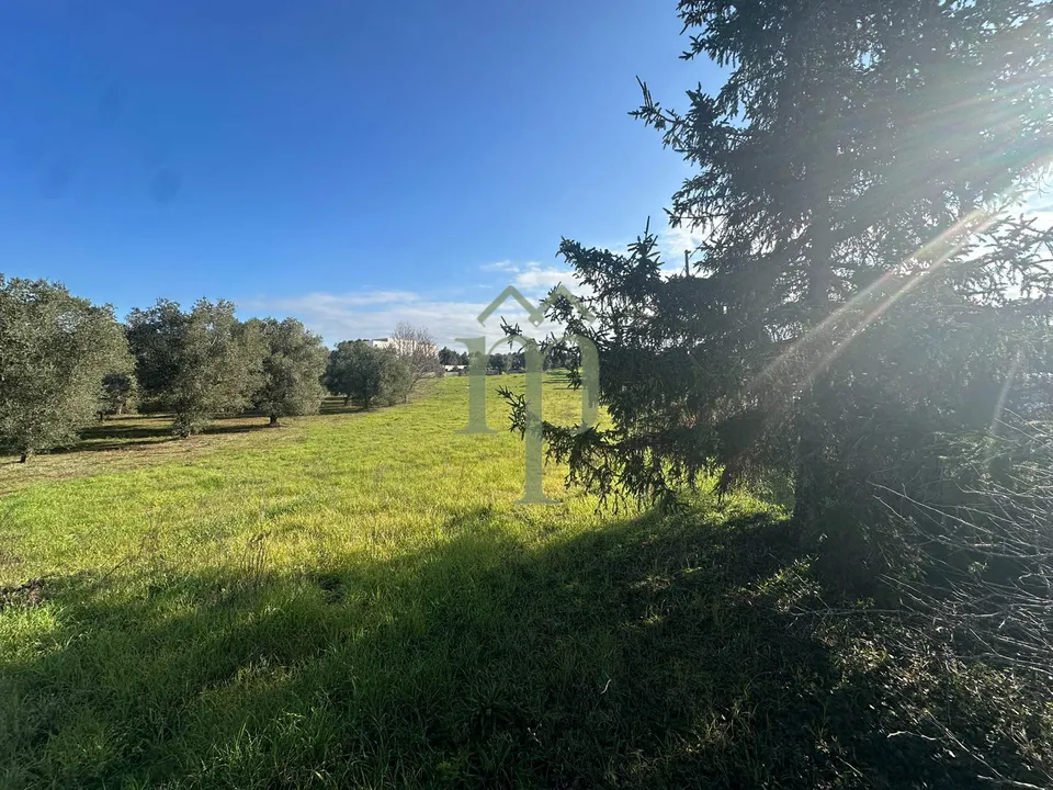 Masia a Ostuni, Brindisi - foto 5
